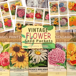 Vintage Flower Seed Packets, Digital Images, ATC, Botanical, Scrapbook, Journal Kit, Collage Sheet, Ephemera Classics, Download