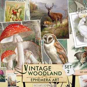 Vintage Woodland Set2, Junk Journal Kit, Mushroom, Flamingo, Moose, Wildflowers, Birds, Owl, Trees, Ephemera, Tags, Scrapbook