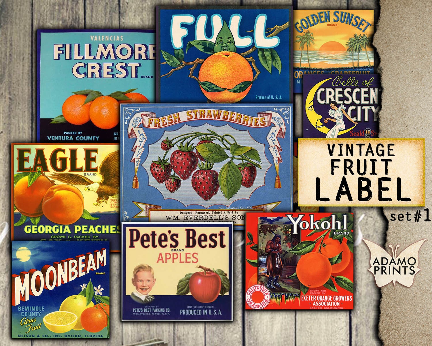 Vintage Fruit Label Orange Lemon Color Labels Digital Etsy