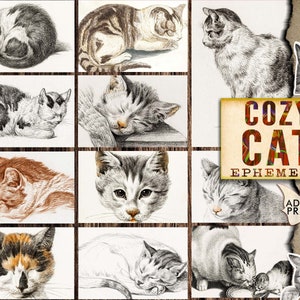 居心地の良い猫、エフェメラ キット、スケッチ、印刷可能な画像、ビンテージ アート、クラシック、ATC、デジタル コラージュ、エフェメラ デジタル、動物、スクラップブックの動物