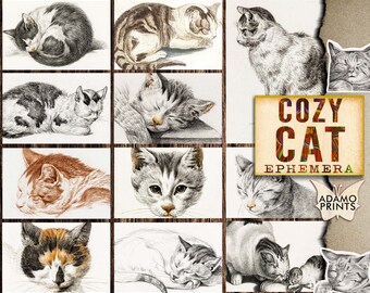 Gato acogedor, Kit de efímeras, Bocetos, Imágenes imprimibles, Arte vintage, Clásico, ATC, Collage digital, Efímera digital, Animal, Álbum de recortes de animales