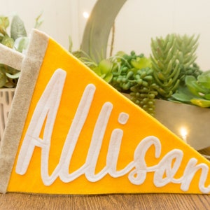 Personalized Name Felt Pennant Flag