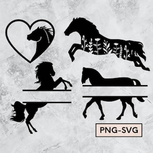 cavalo svg, cavalo png, quadro de nome de divisão de cavalo, cabeça de cavalo, clipart de cavalo