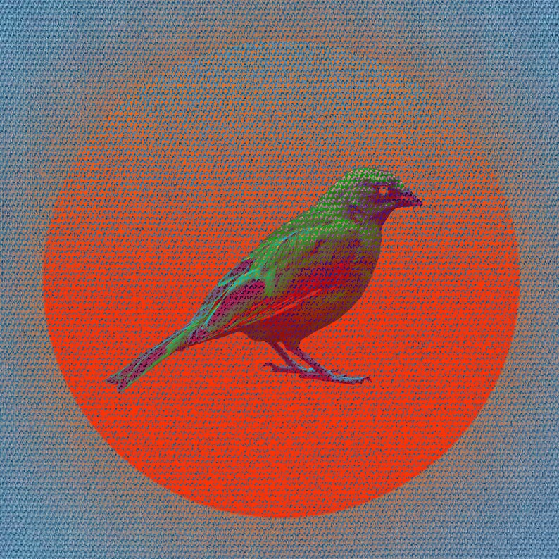 retro art gift idea Collage Art Print bird Going Nowhere psychedelic art home decor vintage art surreal art poster wall art