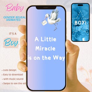 È un maschio Video annuncio rivelazione sesso, video animato rivelazione bambino, invito rivelazione bambino, conto alla rovescia maschio o femmina, è un maschio