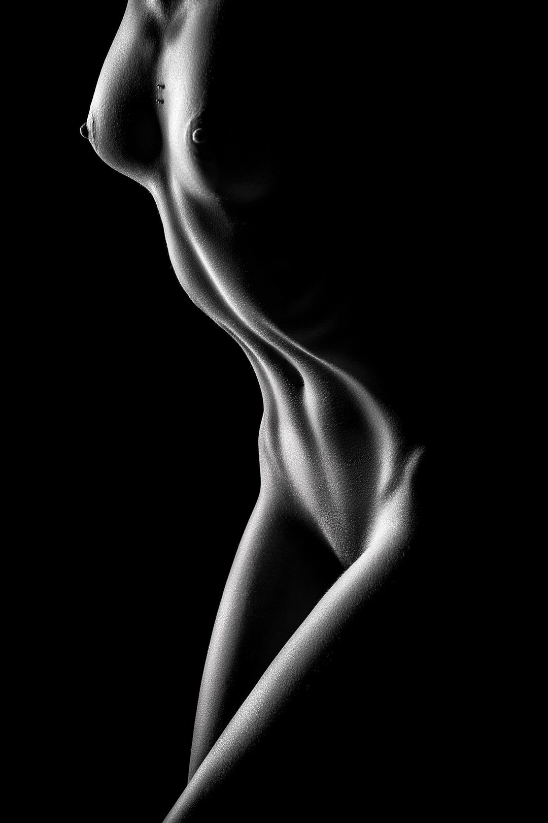 Nude Woman Figurative Bodyscape No71 Black & White Luster Photo Print  rolled in a Tube - Etsy