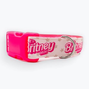 Britney Dog Collar 1” | Pink Collar | Durable Dog Collar