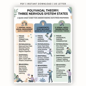 Polyvagal teori: Tre tillstånd i nervsystemet (PDF), fusklapp för nervsystemets reglering, handout för traumainformerad terapi, polyvagal guide