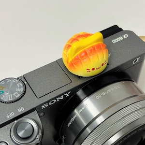 以下が含まれることがあります： グレーのソニーカメラに、黄色とオレンジのパン型のレンズキャップが付いている。カメラレンズには「Optical SteadyShot」と「3.5-5.6/16-50」の文字が印刷されている。カメラには右上に「α 6000」の文字が印刷されている。