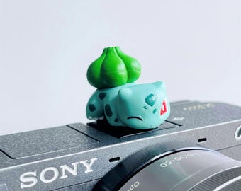 Green Frog Seed Hot Shoe Cover: Fuji/Nikon/Sony Camera Accessory, Universal fit