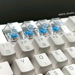 High clear PBT Keycap, Transparent keycap, Blank 1U keycap, Crystal keycap, R4 R3 R2 R1 mechanical keycaps for Cherry MX, keyboard customize