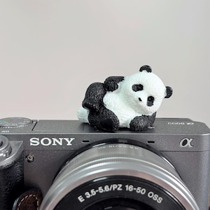 Funda para zapata con forma de panda, bonitos accesorios para cámara, decoración para cámara Fuji/Sony/Nikon/Ricoh, regalo de fotógrafo personalizado para amigos