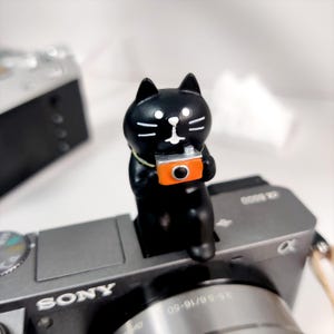 Resin Black Cat Photographer Hot Shoe Cover: Camera Accessory, Friends Gift