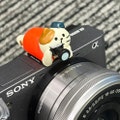 Custom Cat Camera Hot Shoe Cover: Photography Lover Gift
