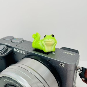 Funny Frog Camera Hot Shoe Cover: Resin Crafted, Photography Gift