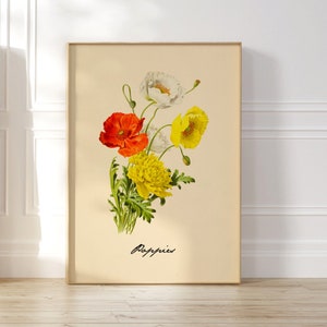 Vintage Botanical Poster, Retro Wall Art, Antique Flowers Art, Vintage Poppies Art, Mid Century Floral Art Print, Kitchen Wall Art Decor