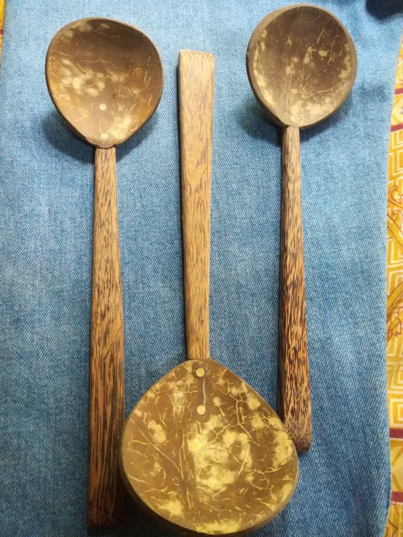 Coconut Shell Spoon Wooden Spoon Natural & Eco Friendly Etsy