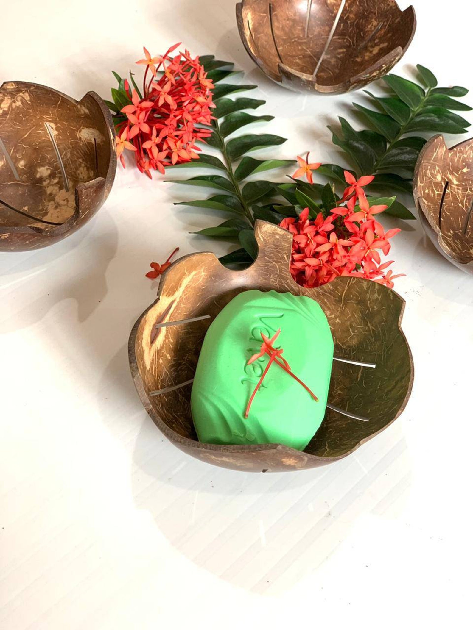 Natural & Eco Friendly Coconut Soap Dish Wooden Soap Dish Etsy New