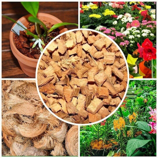 Chips di buccia di cocco per giardinaggio floreale Orchidee Rettili rosa Anthurium Buccia naturale ed ecologica / Buccia per piantare / Buccia per piante