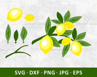 Lemons on a branch SVG, Lemon Cut file, lemon with leaves designs for Silhouette Cameo and Cricut. png, dfx, jpg, EPS format, DIY