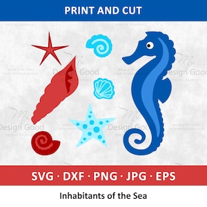 Habitantes del mar, Hermoso caballito de mar, Estrella de mar azul y roja, Animales marinos svg, Conchas marinas, Animales del océano, SVG, .eps, PNG, Silueta, EPS