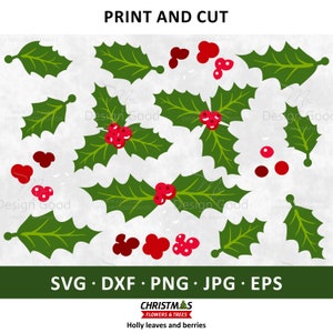 Holly Berry leaf SVG. Bundle Clipart EPS, Png, dxf. Paper DIY, cutting, Winter Xmas, Holiday Decor, Mistletoe Silhouette, Cut file, Cricut.