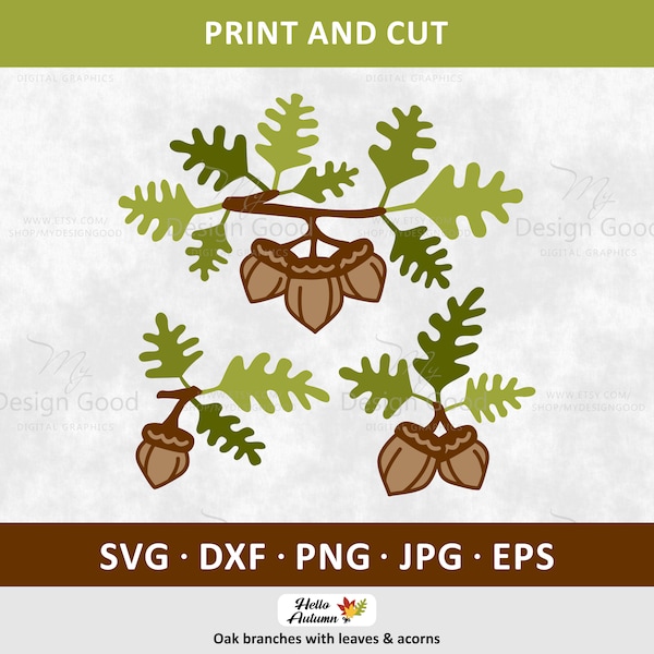 Acorn SVG, Fall Leaves svg, Oak branches, green leaves PNG. Acorn Decor. Design Autumn Holiday. Clipart eps, Dxf. Silhouette Cut file Cricut