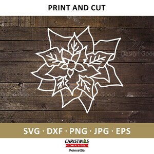 Fiore di Natale svg, Poinsettia SVG. Clipart Fiori invernali. File di taglio di design a un colore, fai da te. EPS, Png, Dxf, Cricut, Silhouette, Decor.