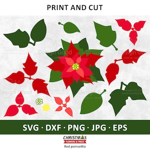 Poinsettia SVG, Christmas Flowers svg. Flowers template. Paper DIY Decor. Clipart, EPS, Png, Dxf, Cricut, Silhouette, Xmas, Winter Flower