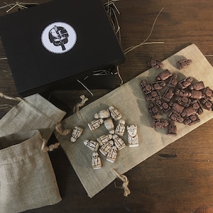 Pieces for Hnefatafl board game.( only pieces)