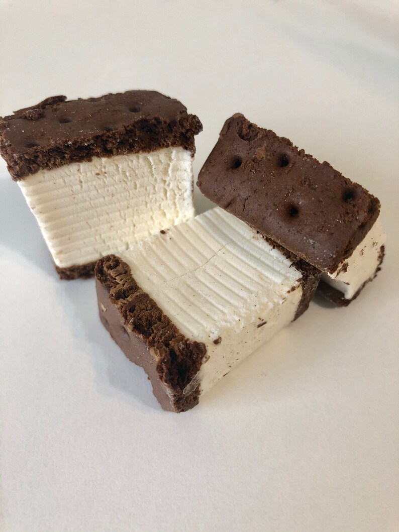 Freeze Dried Ice Cream Sandwich Bites Etsy