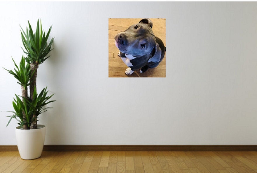 Custom Removable Wall Decals Custom Text Wall Decals Custom Etsy