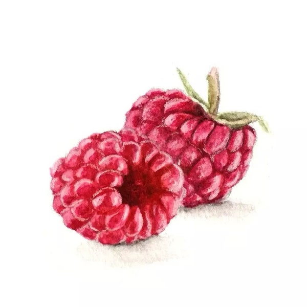 Raspberries, original berry fruit painting in realistic style watercolor