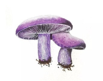 Pieds-violets, peinture originale de champignons à l'aquarelle de style réaliste