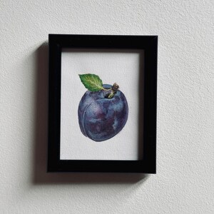 Plum, original framed watercolor