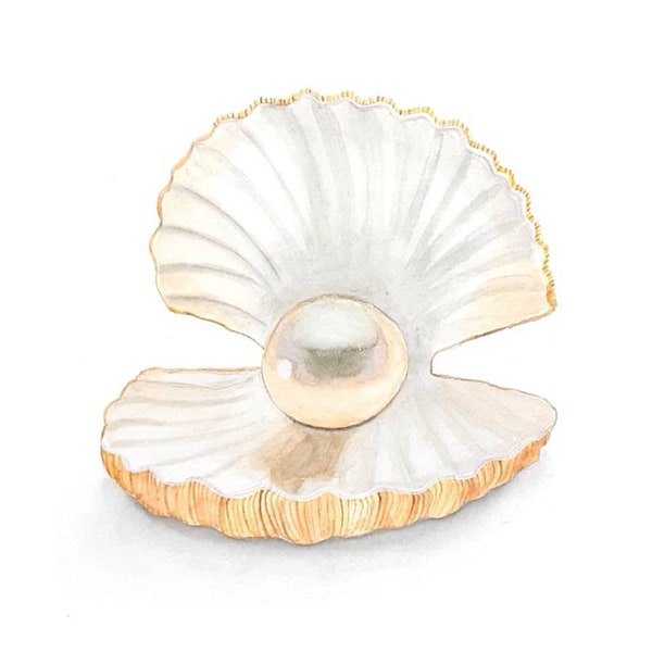 Seashell with pearl, original marine shell painting in realistic style watercolor