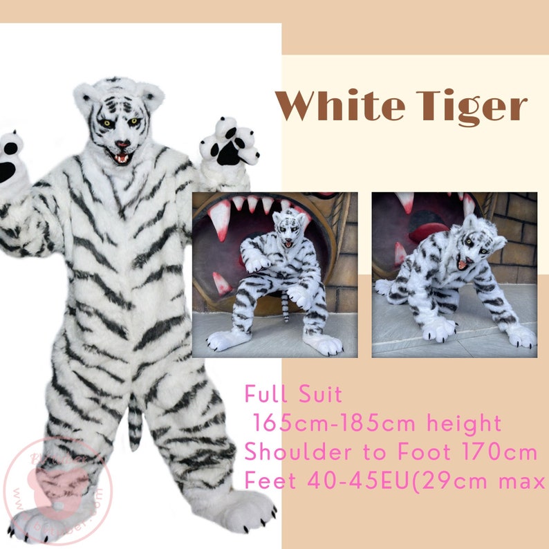 Dive Into Fursuit Culture: Revealing the Cost of Fursuit Ownership