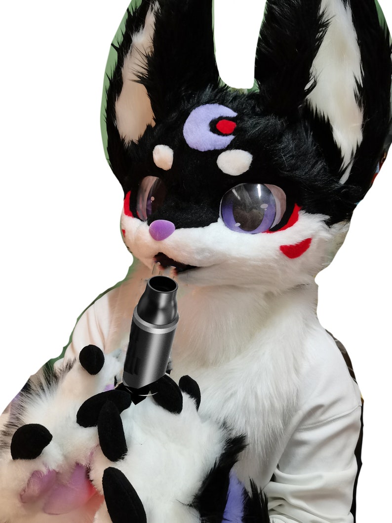 fursuit bdsm