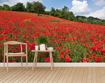 May include: A wooden table and chair set in front of a scenic backdrop of a field of red poppies. The field is in full bloom and stretches out to the horizon.