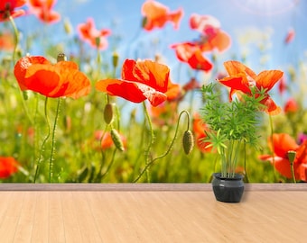 May include: A black ceramic planter with a green plant sits on a wooden floor in front of a blurred background of red poppies in a field.