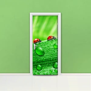 Ladybug and leaf Door mural Self adhesive door wrap, removable peel & stick door covering, sticker door, green leafs nature grass D#105