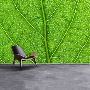May include: A black chair with wooden legs sits in front of a green leaf with intricate veins. The leaf is a close-up of the texture and pattern of the leaf.