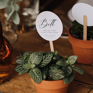 Nomes de locais de casamento para plantas | Etiquetas de nome para lembrancinhas de casamento suculentas *PLANTA NÃO INCLUÍDA*