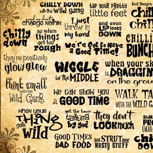 K&ouml;nnte beinhalten: Eine digitale Collage aus Textphrasen in Schwarz auf braunem Hintergrund. Die Phrasen beinhalten "Chilly Down", "Wiggle in the Middle", "Walk Tall with the Wild Gang", "Good Times Bad Food" und "Chilly Down".