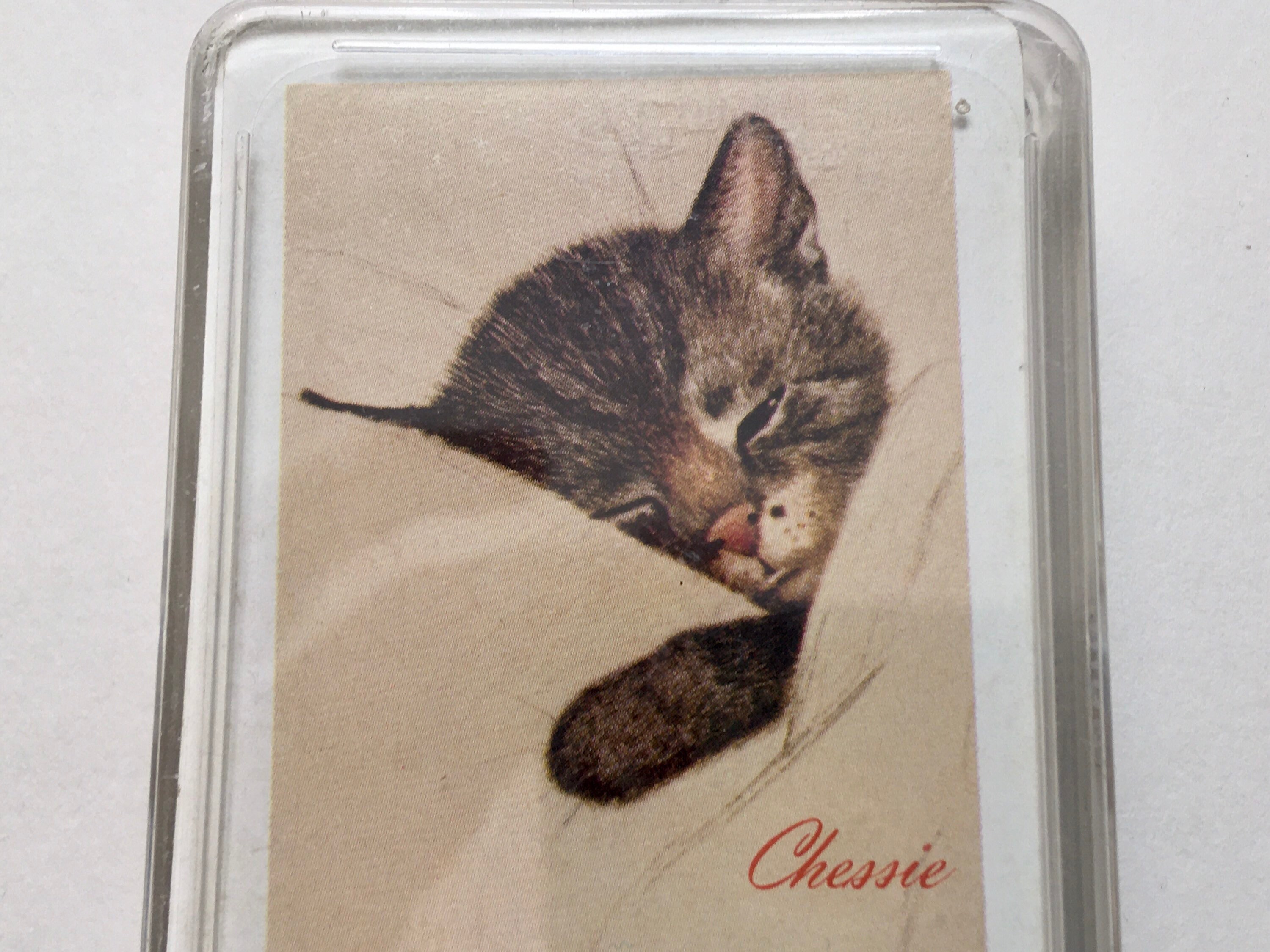 Chessie Kitten Railroad Playing Cards - Etsy