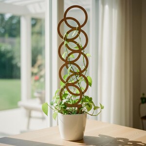 Op de afbeelding: Een bruin metalen plantenrek met een reeks verbonden cirkels, geplaatst in een witte keramische pot. Het rek ondersteunt een groene bladplant. De pot staat op een lichtgekleurde houten tafel, met een raam op de achtergrond.