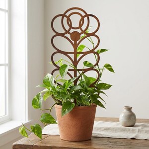 May include: A decorative, rust-colored metal plant trellis in a floral design. The trellis supports a potted plant with green and yellow leaves in a terracotta pot. The plant is on a wooden table near a window.