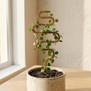 Plant Trellis for Indoor Plants, Modern S Shape Climbing Support, Minimalist Wooden Plant Stake, Gift for Plant Lovers