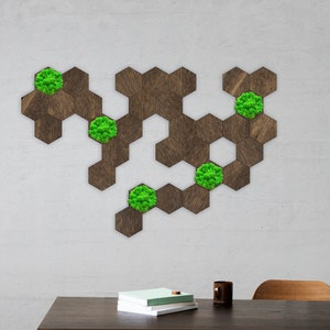 Hexagon-Moos-Wandkunst, Hexagon-Holz-Wandfliesen, Moos-Wanddekor, Honigwaben-Holzausschnitt, Konservierte Mooswandkunst, Hexagon-Holzwandpaneele