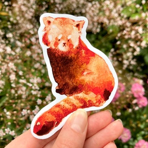 Red Panda Sticker Vinyl Sticker Cute Red Panda Die Cut - Etsy